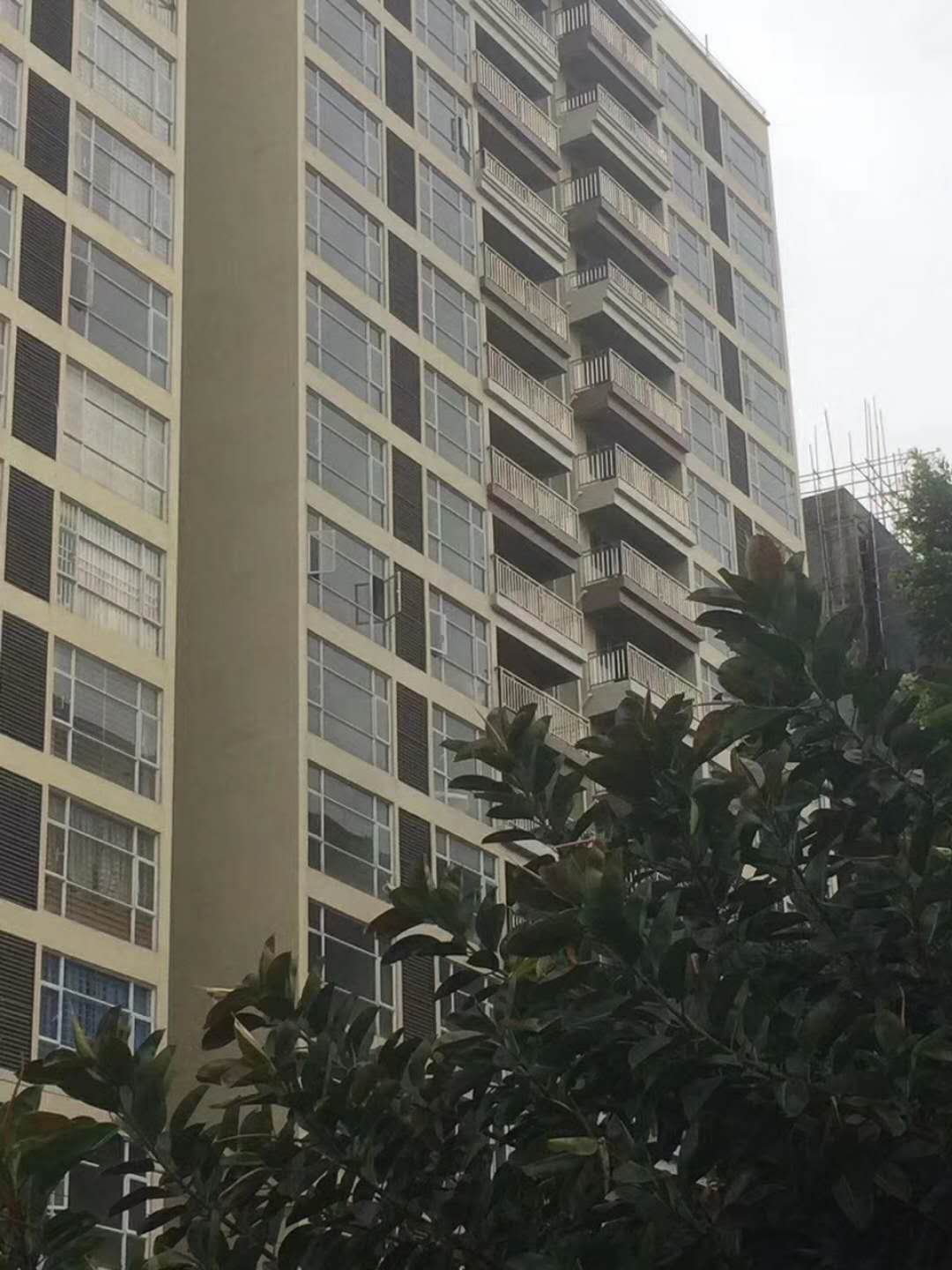 微信图片_20180307135836.jpg