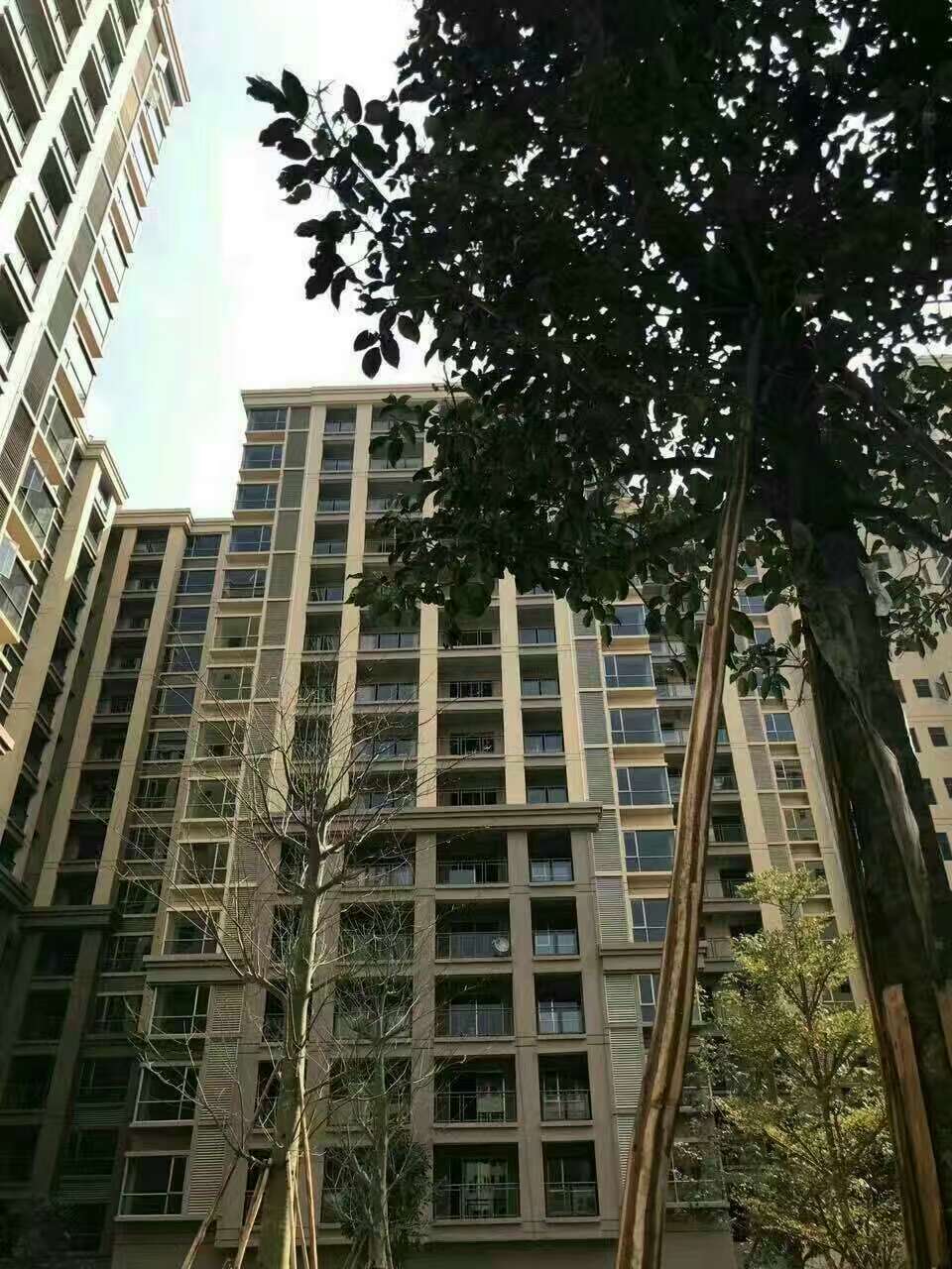 860618351252026996.jpg