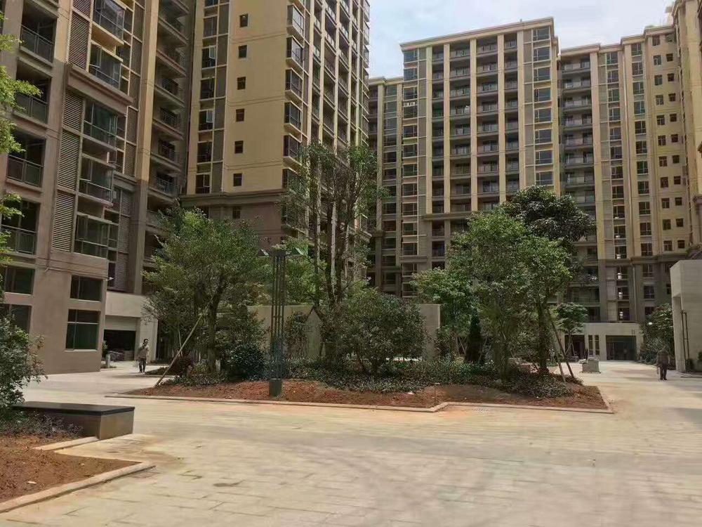 微信图片_20170529175518.jpg