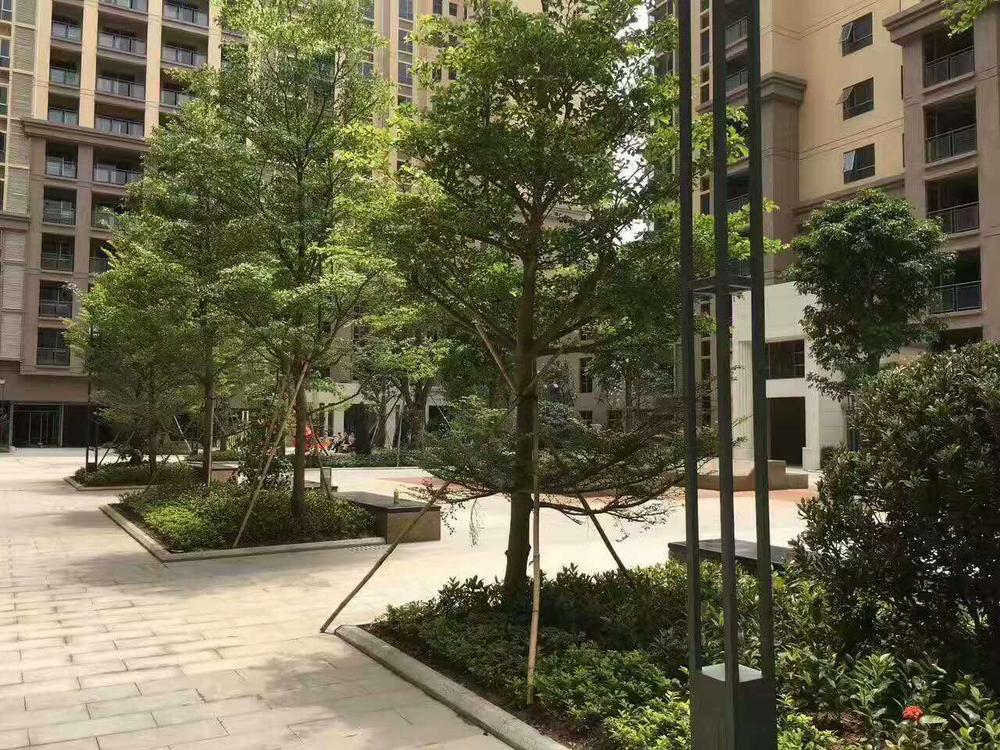 微信图片_20170529175609.jpg