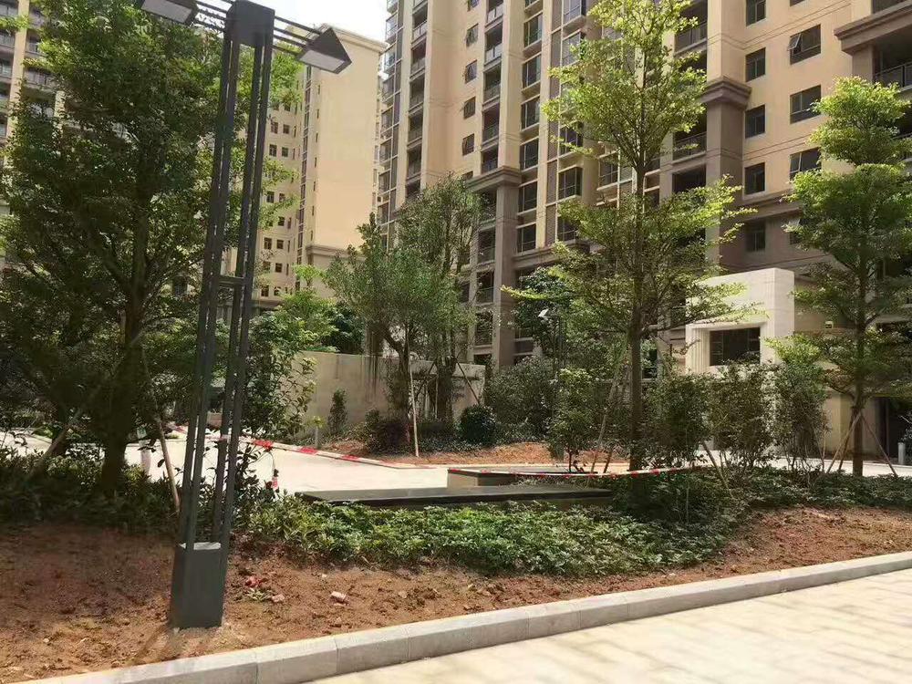 微信图片_20170529175606.jpg